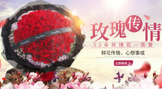 河北保定定兴县北南蔡乡鲜花速递